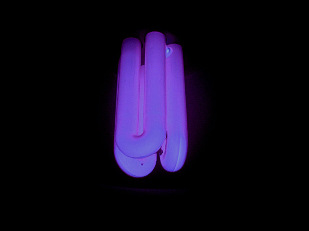 A blacklight can reveal messages written on the wall.