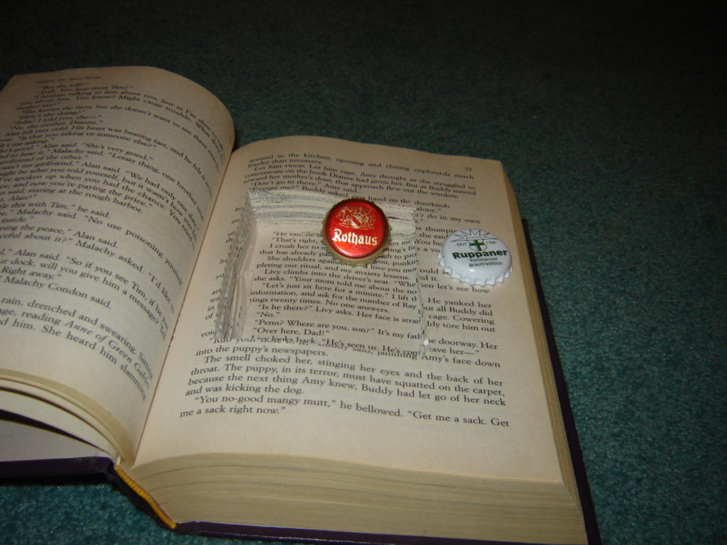 This book can certainly hold some hidden objects.