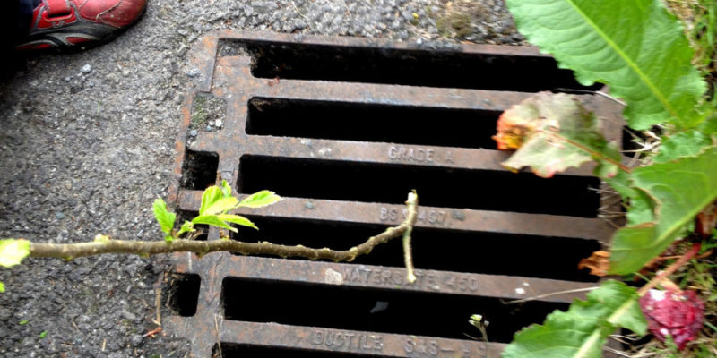 The photographer dropped his car keys down the drain and used a stick to fish them back out again.